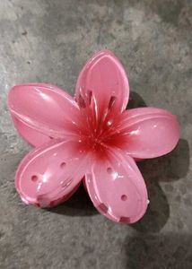 Floral Hair Clips (Pack Of 2)