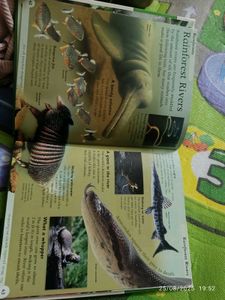 New Nature Encyclopedia