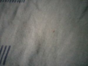 Its a Shirt