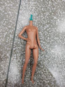 Barbie Doll Bodies