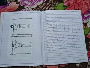 NIOS Class 12th Practical