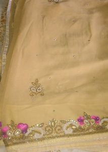 Elegant Embellished Saree