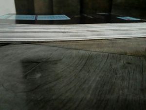 Social Science Xam Idea For Class 10th