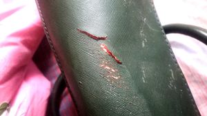 Lavie Green Floral Handbag