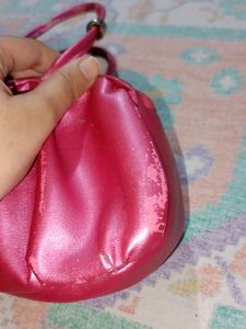 Small Purse