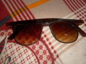 Brown Goggle