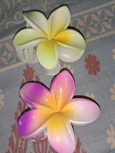 Hawaiian Tropical Flower Claw Clip 2pcs