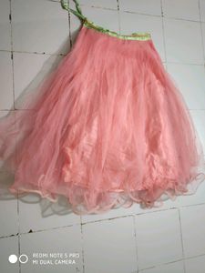 Crop Top Choli