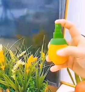 Citrus Fruit Juice Sprayer (Set of 2)