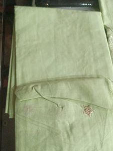 Elegant Light Green Embroidered Salwar Suit
