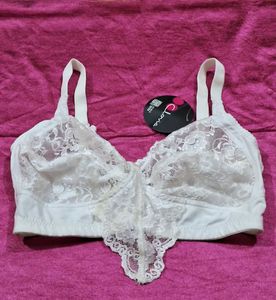 Clovia Bra Size 34F