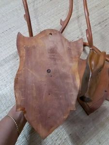 Horse Head Decoration 🐴