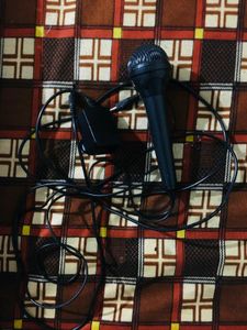 Karaoke Microphone