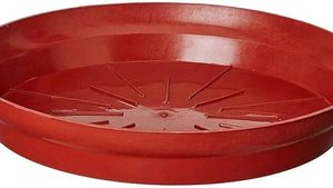 Plant Pot Plate 6 Set
