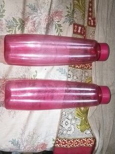 Bluline Hot Box With Two Water Bottle Combo