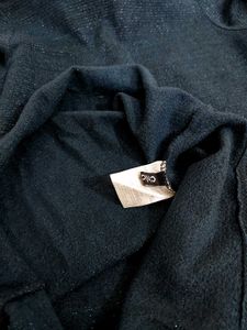 Shiny Turtleneck Top