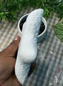 Starfish Trinket Dish