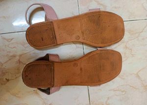 41 Size Footwear