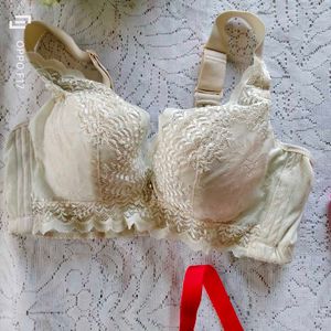 3 Stylish Bra