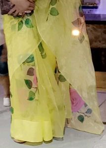 Pure Organza Saree