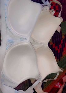 Bras - Two Neutral Colors