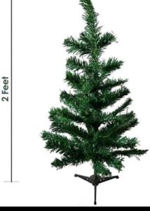 Christmas Tree Without Decoration