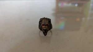 Best Lion Faced Stylish Rain
