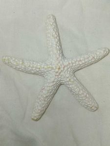 AQUARIUM, TANK DECOR(STARFISH)