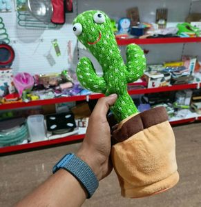 Dancing Cactus Toy