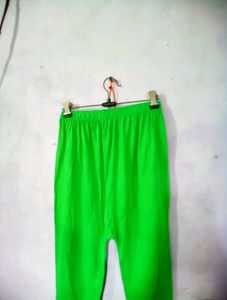 Unused Light Green Legging For Women