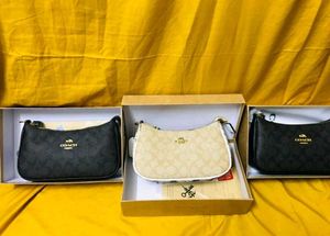 COACH TERI MINI AGAIN IN STOCK WD BOX