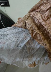 Elegant Ethnic Gown