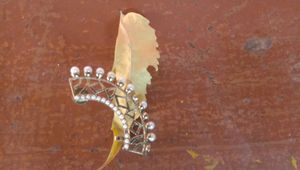 Earings