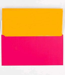Shagun Gifting Envelope Wedding, Birthday (2 Pack)