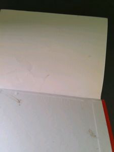 bhagavad gita