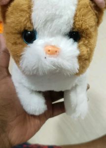 Baby Toy 😺