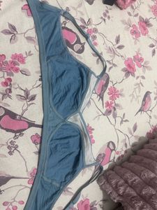 Dressberry Casual Blue Bra, Bust- 38 C