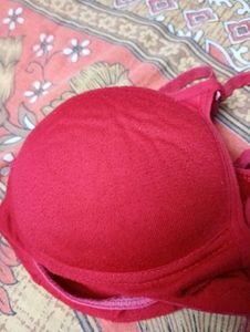 Padded Bra For Women