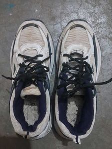 Sports Sneakers
