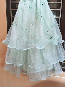 Mint Green Embellished Lehenga