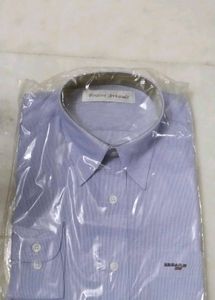 Office Shirt