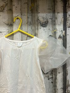 Baby Pink Zara Organza Sleeves Top