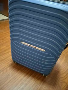 Wildcraft Blue Travel Bag