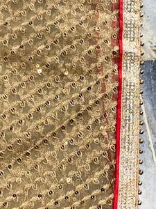 Net dupatta Golden