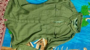 Olive Striped Button-Down Fitted Shirt By HER