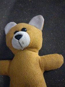 Chhota Teddy Bear