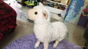 Real Sheep Toy