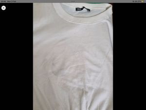 Zara White  Top