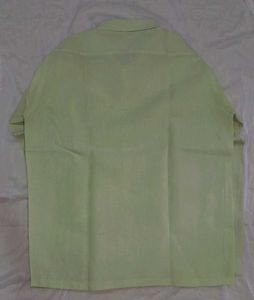 Men's Casual Shirt - Light Green