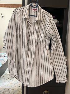 Driftwood - Shirt